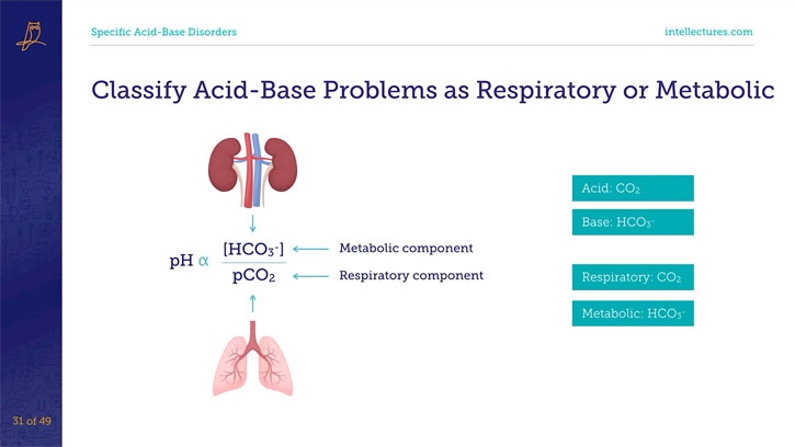 online CME poster A Refresher on Acid/Base
