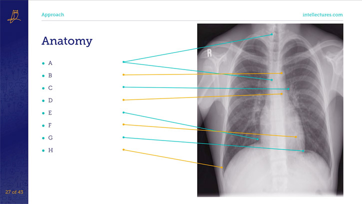 online CME poster 