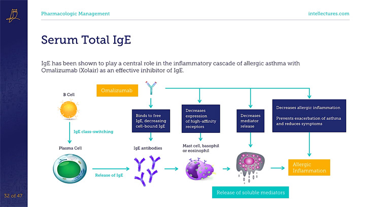 online CME poster Severe Asthma: Diagnosis, Control, and Management
