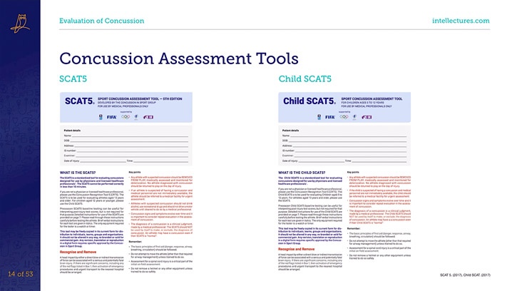 online CME poster Concussion Update